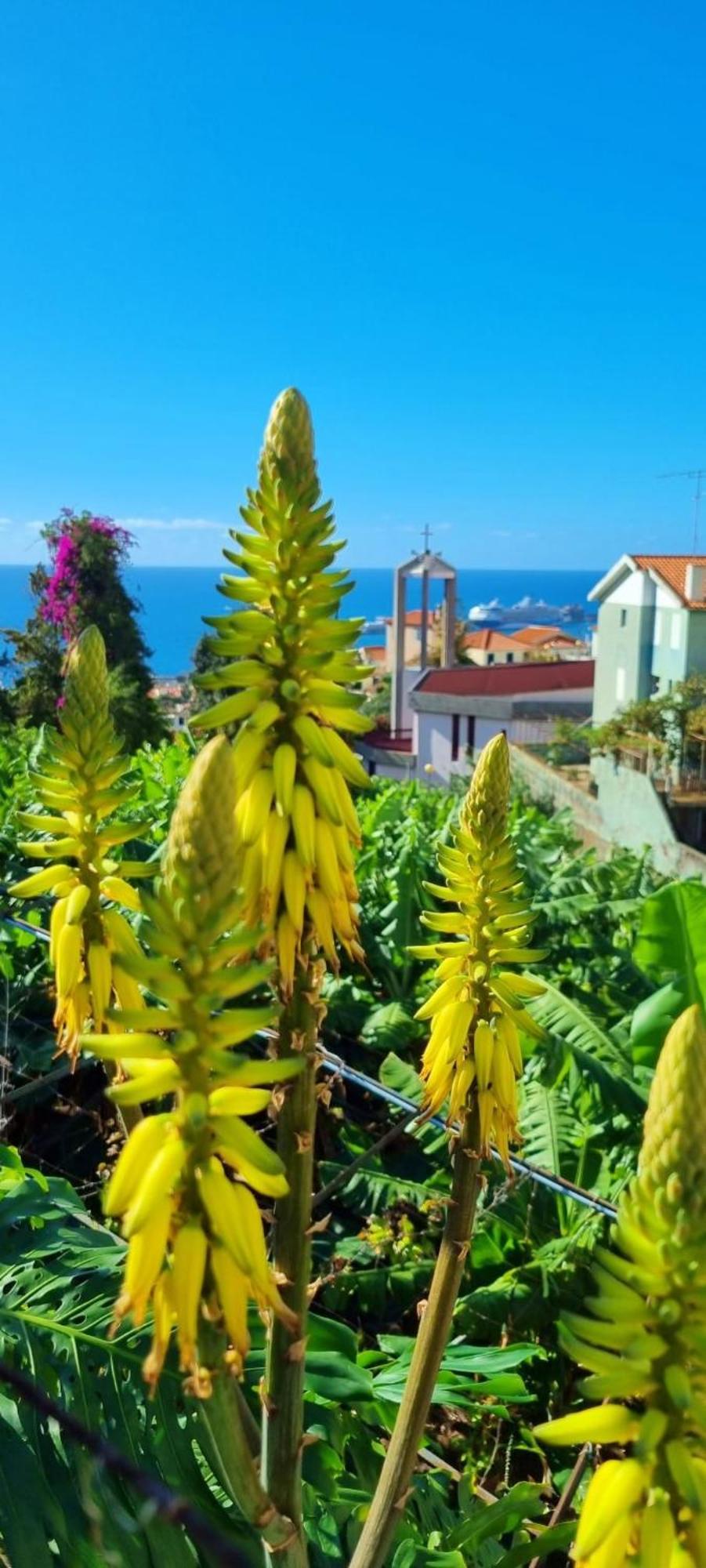 Vakantiehuis Catanho